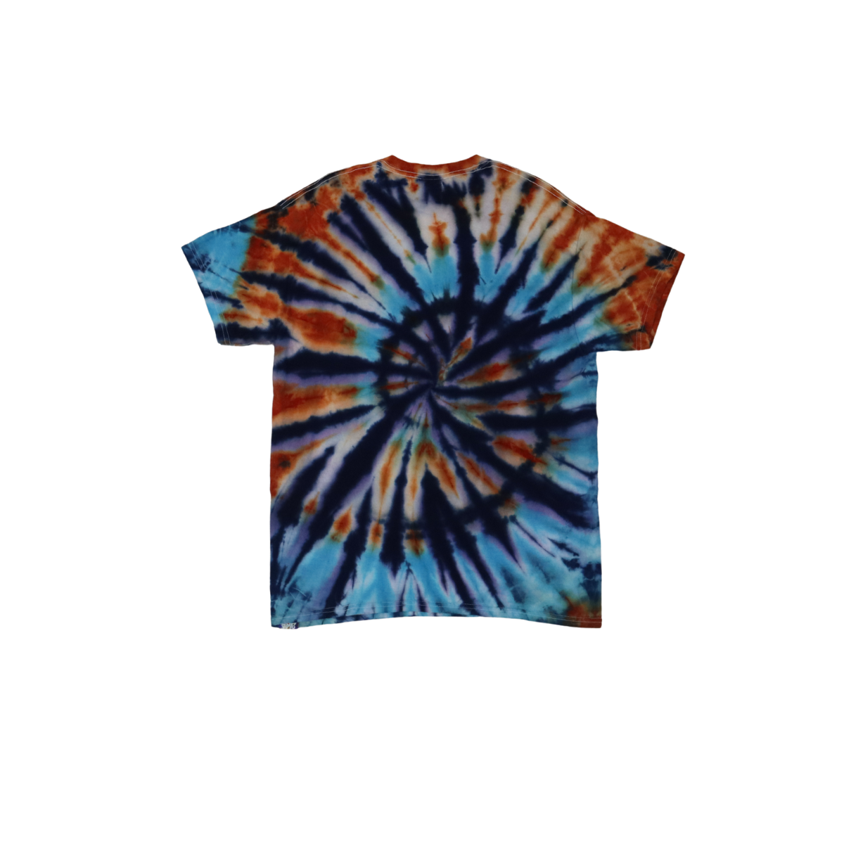 Nautilus Shell