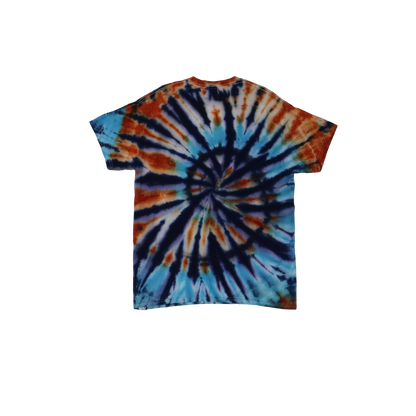 Nautilus Shell